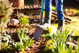 This is the best way to prepare your garden for the summer heat