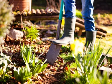 This is the best way to prepare your garden for the summer heat