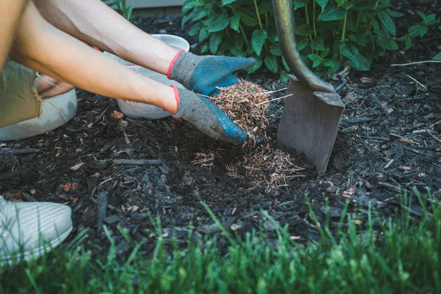 apply mulch to your garden