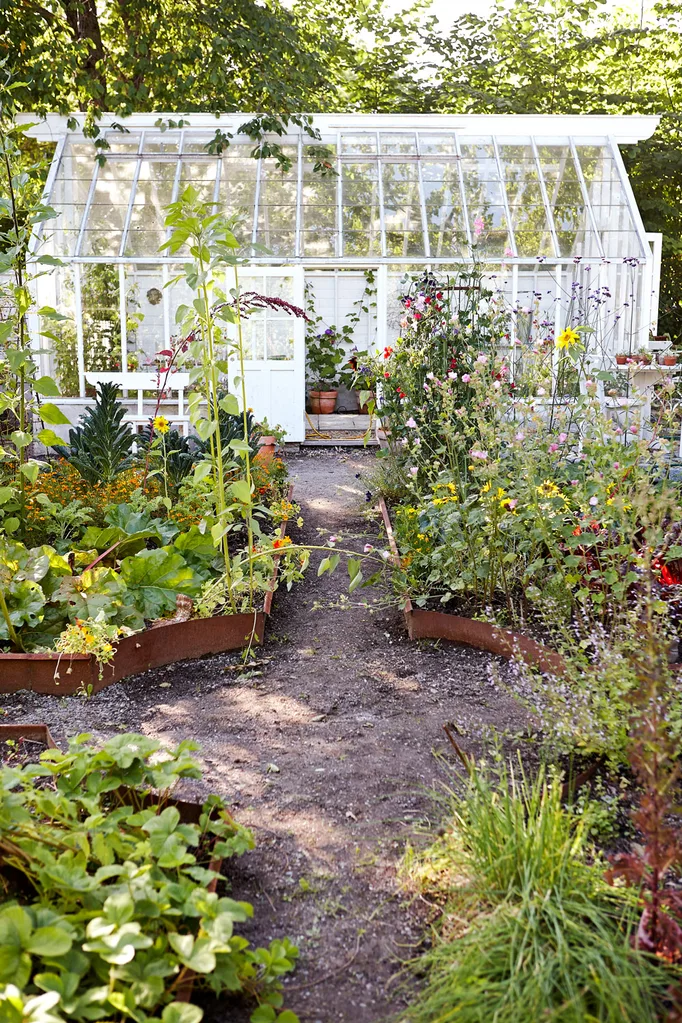 summer garden