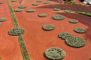 A desert oasis: Charlie takes a tour of the Royal Botanic Gardens Cranbourne