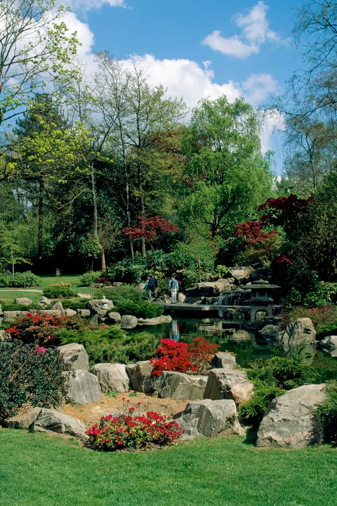 rock garden