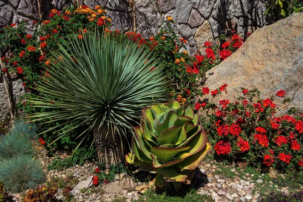 rock garden