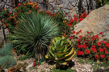 rock garden
