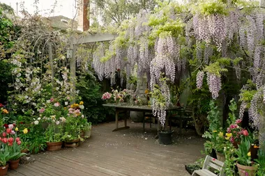 A beautiful backyard with an abundance of flowers
