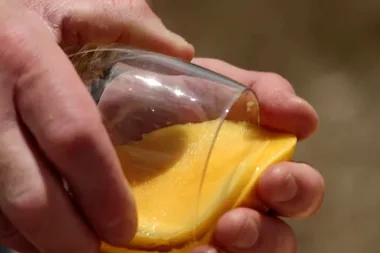 Clever hack: How to cut a mango