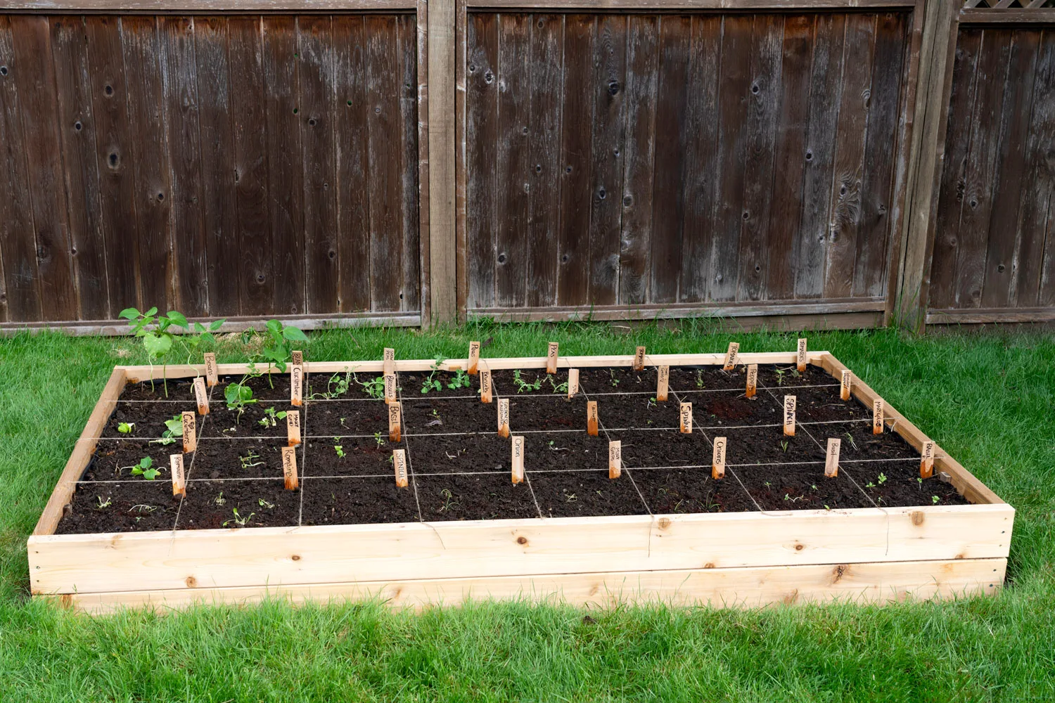 The square food gardening method is structured but may limit more creative ideas.