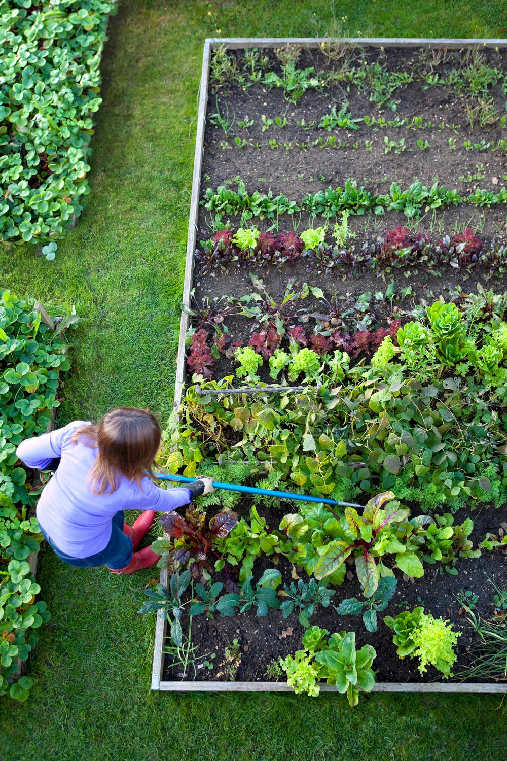 Square foot gardening can be practical and neat for small spaces.