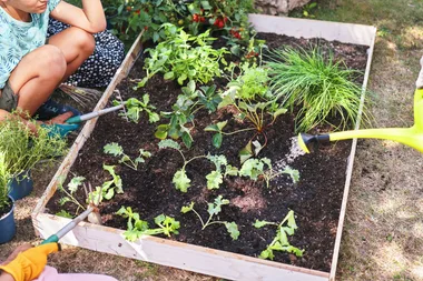 Square foot gardening: How to grow more vegetables with less space