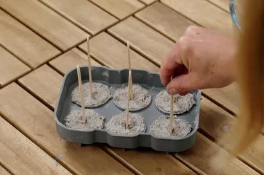 How to make seed pops