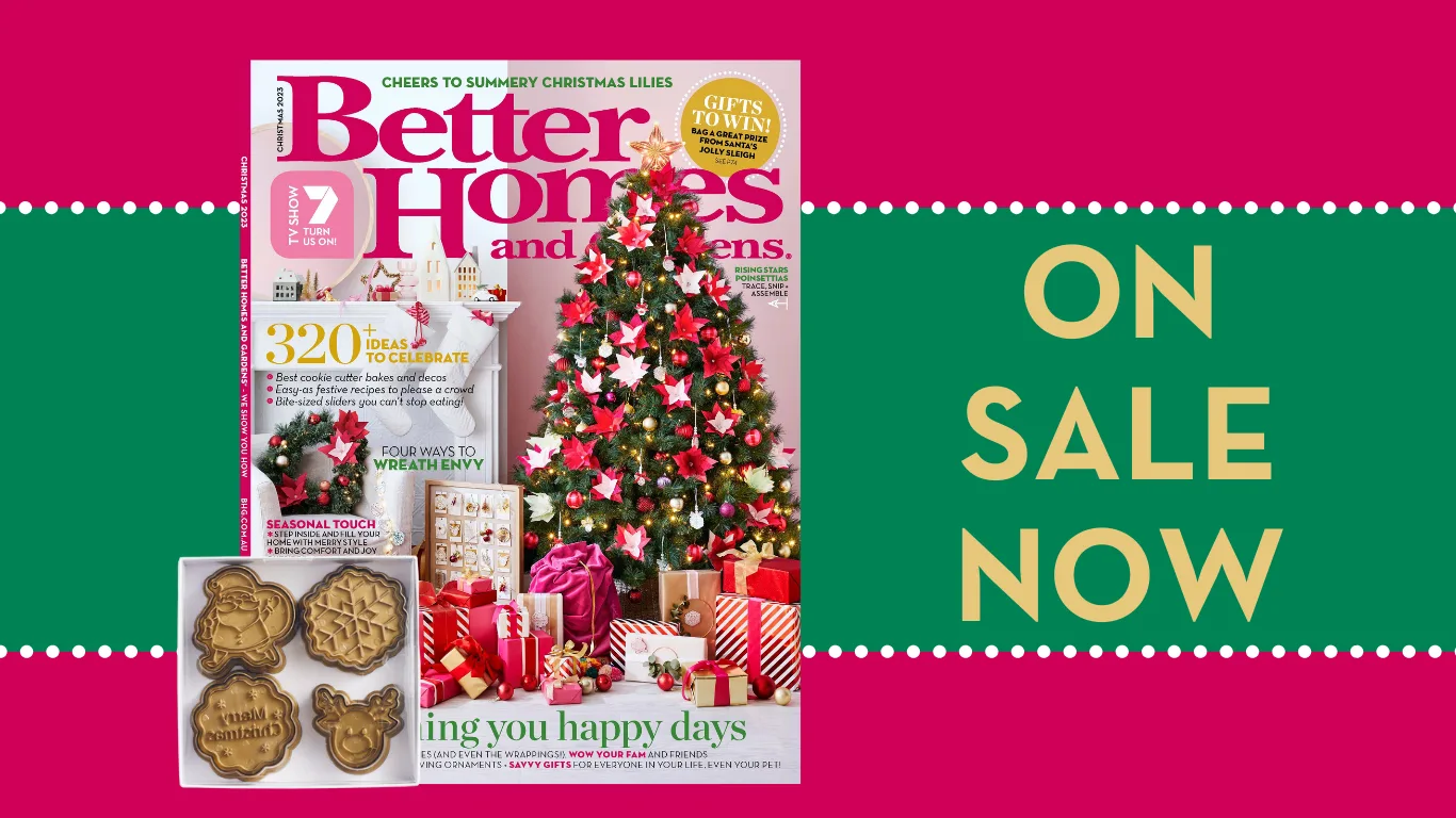 Exclusive Offer: Cookie Cutter & Stamp Set with our Christmas issue*