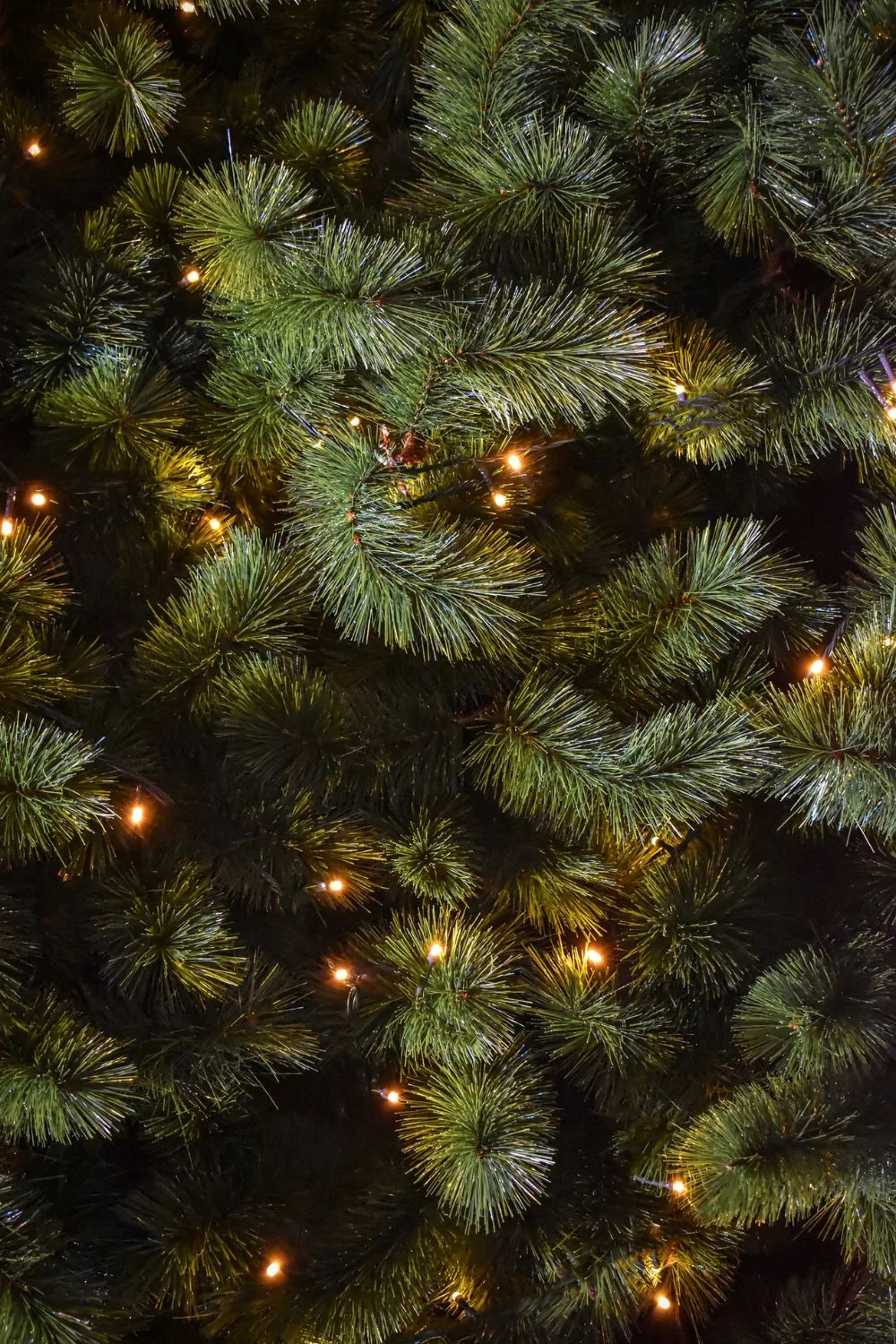 christmas-tree-decor-lights