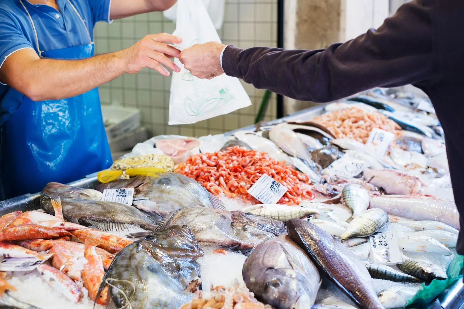 sourcing-fish-remains