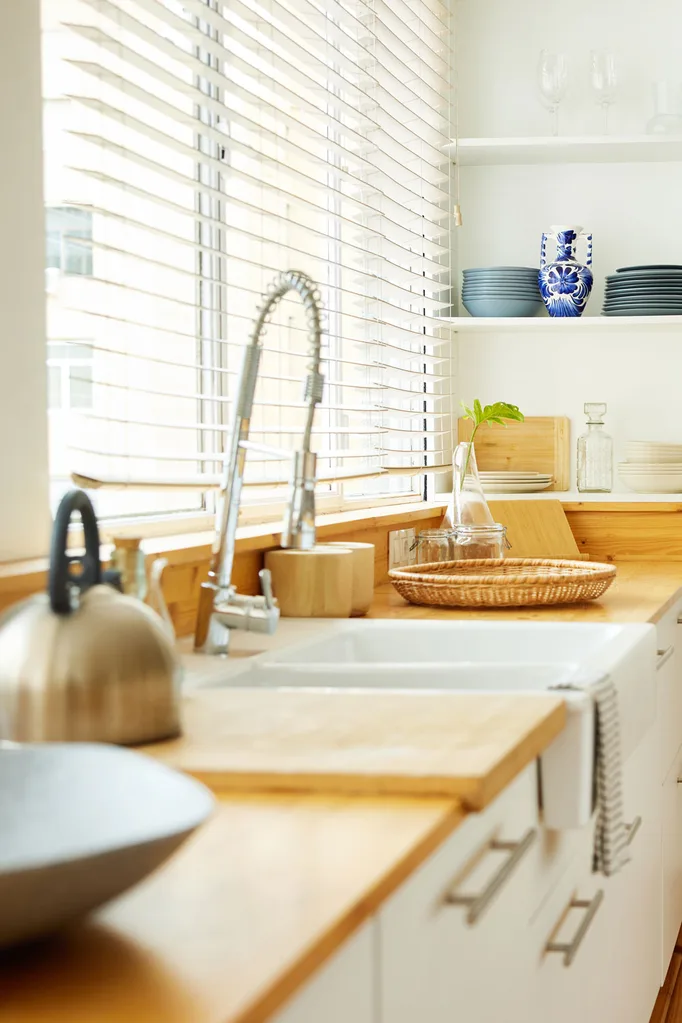 kitchen sink gnats