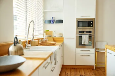 The sneaky spot gnats are hiding in your kitchen