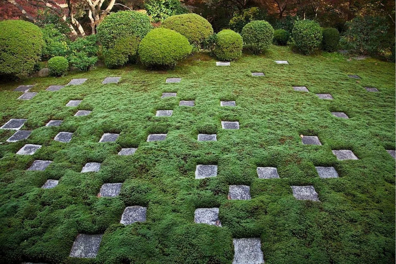 moss-lawn-with-pavers