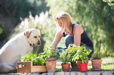 5 easy ways to transform your garden in a weekend