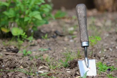 The best way to prevent your garden tools from getting rusty