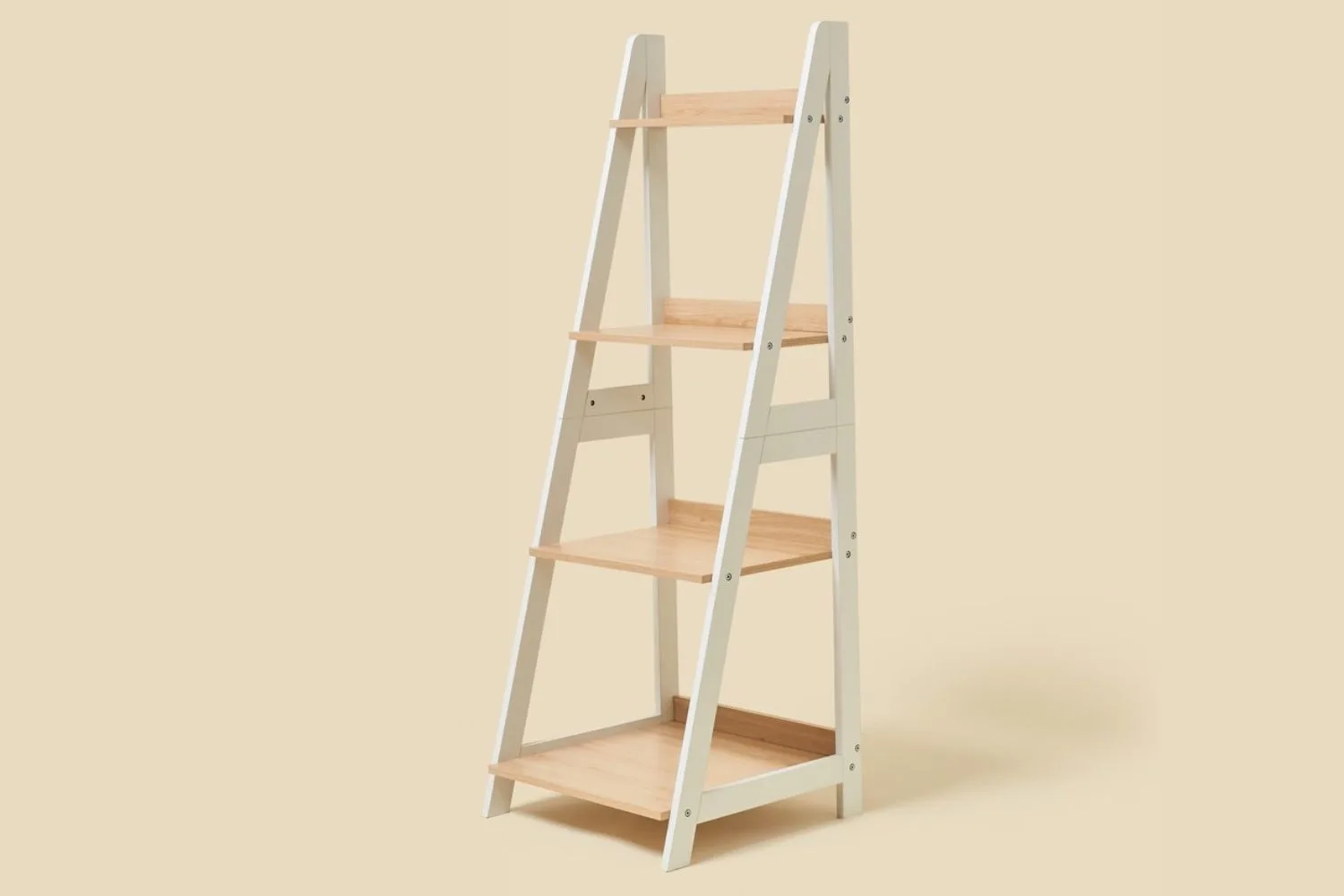 ladder-big-w