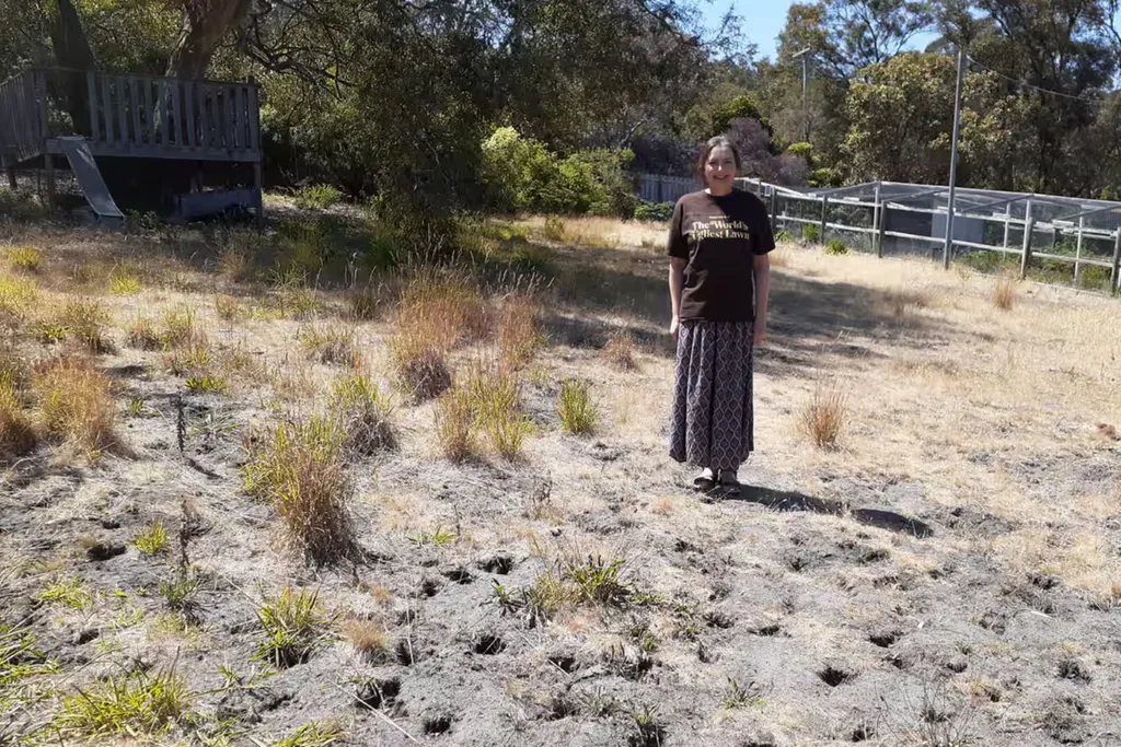 world-ugliest-lawn
