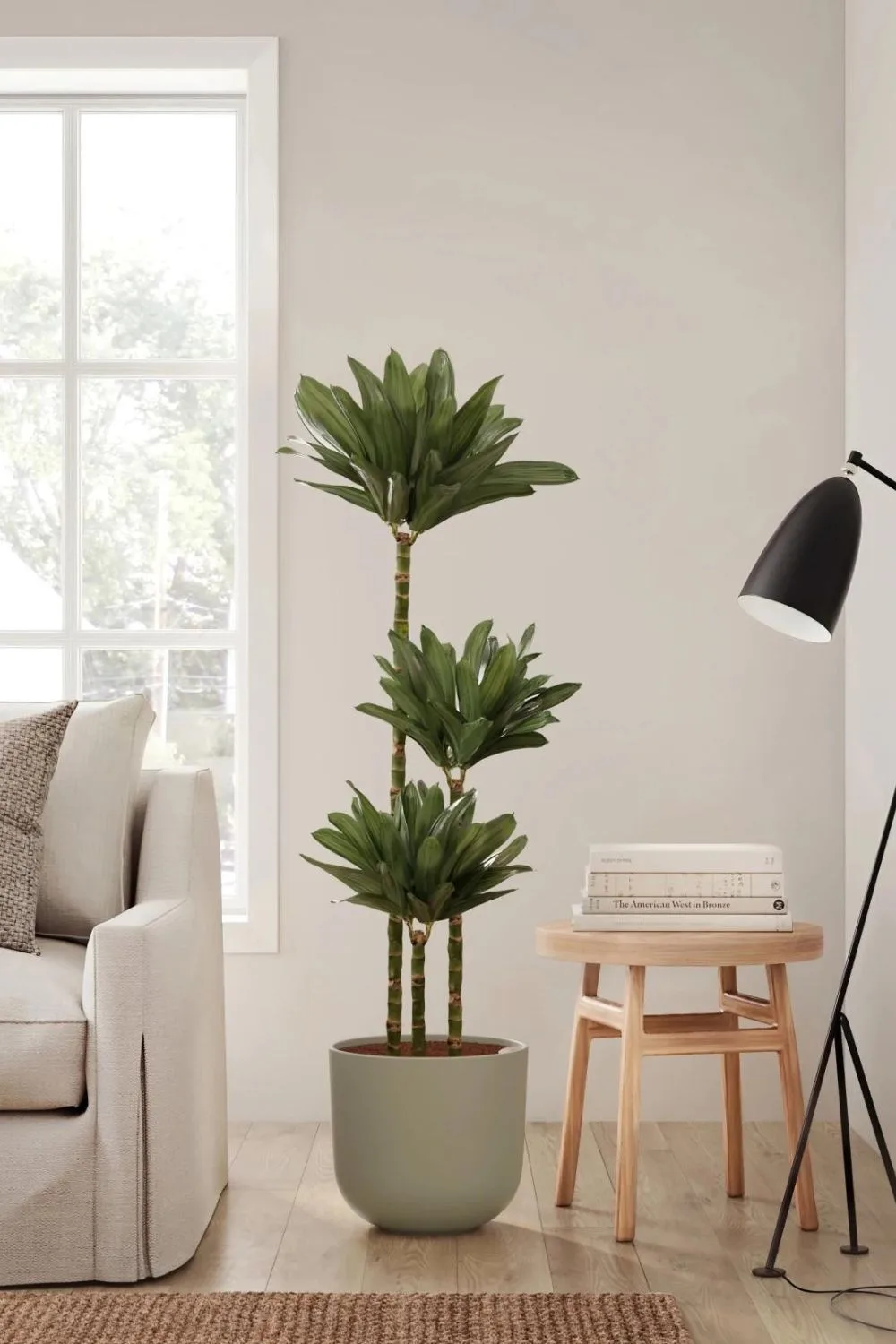 indoor-plant-design