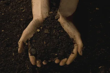 fertiliser-blood-and-bone