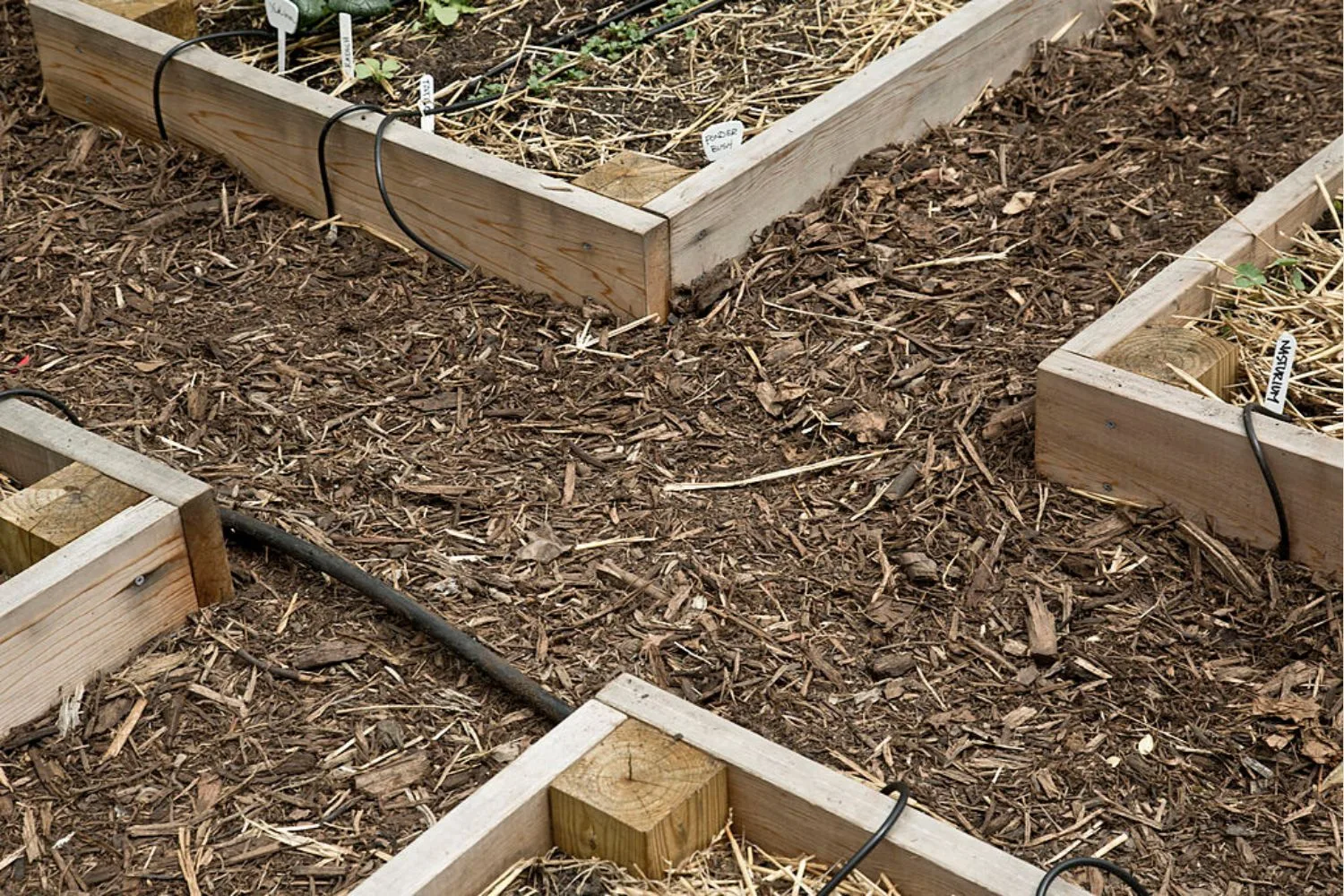 Mulch glue helps keep mulch in place during windy and rainy weather.