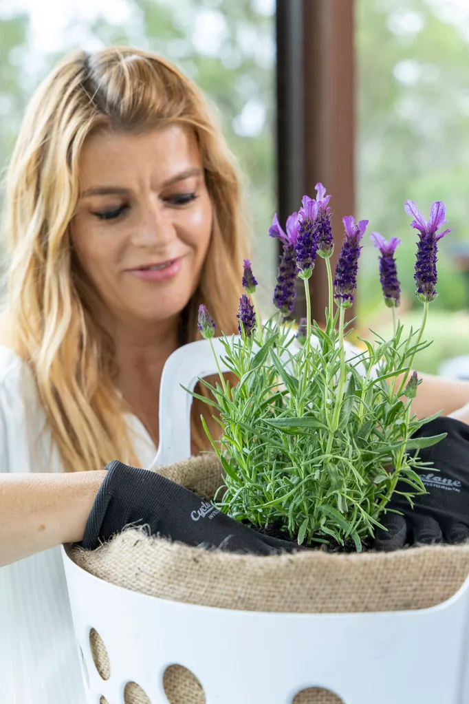 melissa planting lavender in the top of the strawberry planter