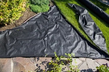 How to use solarisation to remove weeds from your garden cheaply and effectively