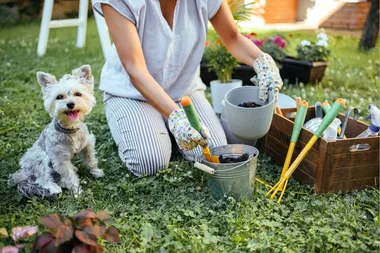 The 15 best gardening tools for amateurs to garden gurus