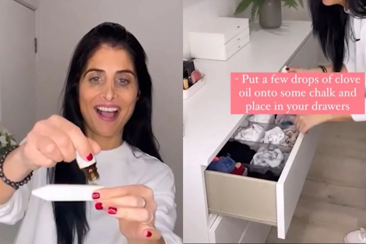 This $3.25 Kmart hack saves your clothes from silverfish, moths and mould