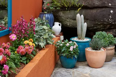 Charlie upgrades a garden with colourful plants that love full sun