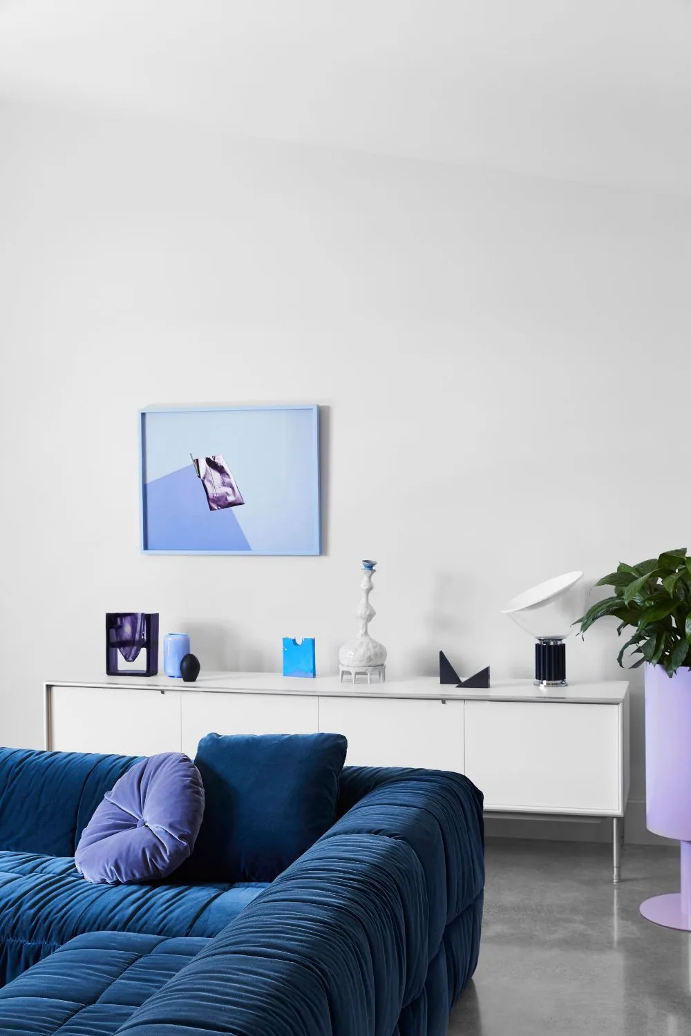 blue-and-purple