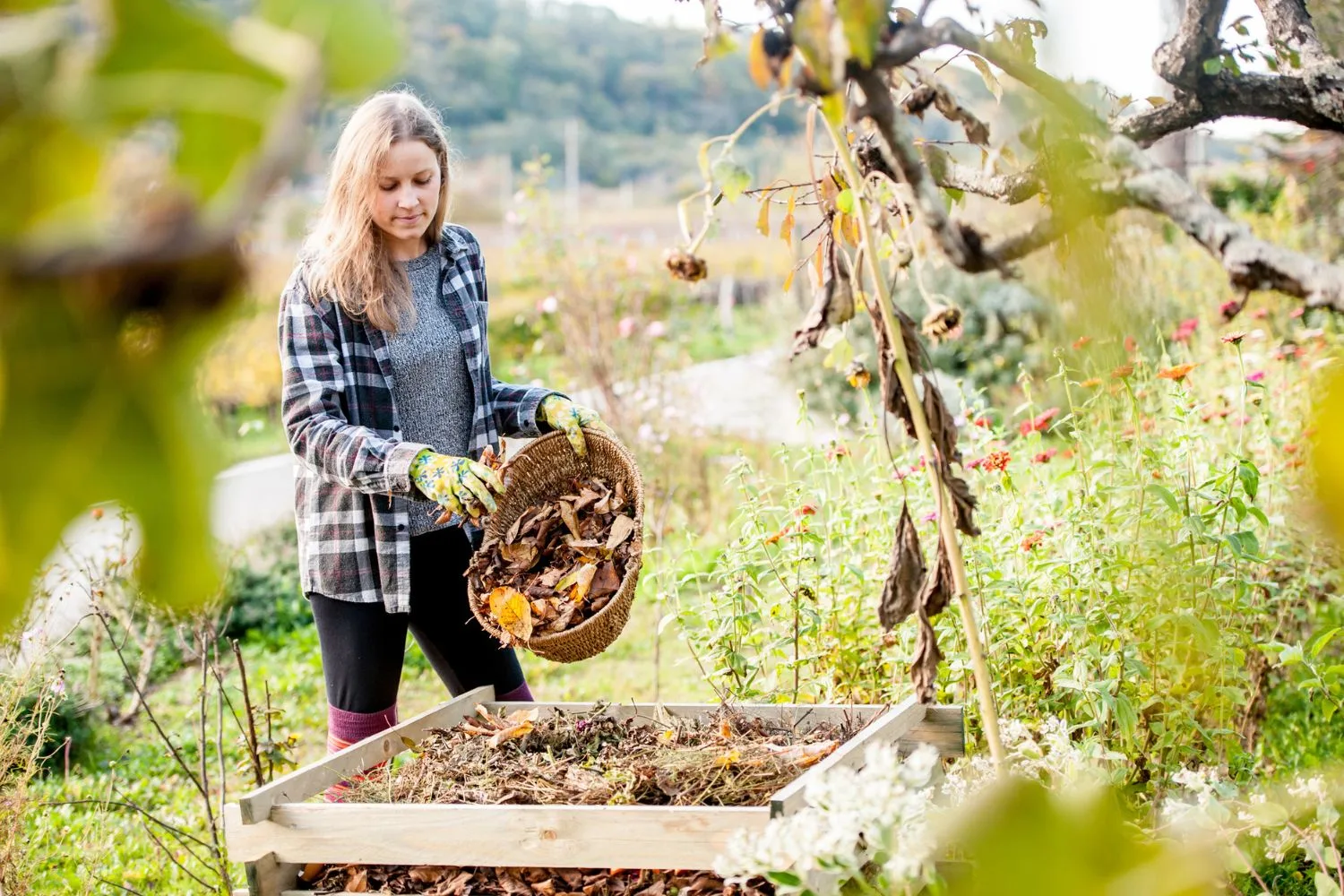 autumn-gardening-composting
