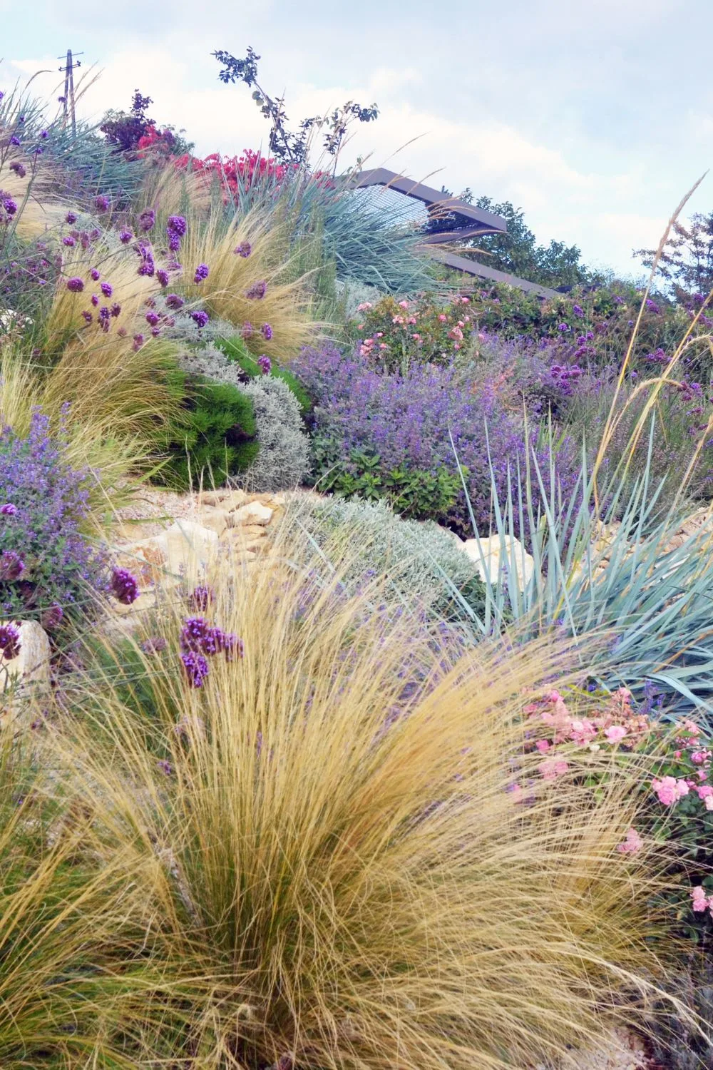 clumping-grass-wildflower