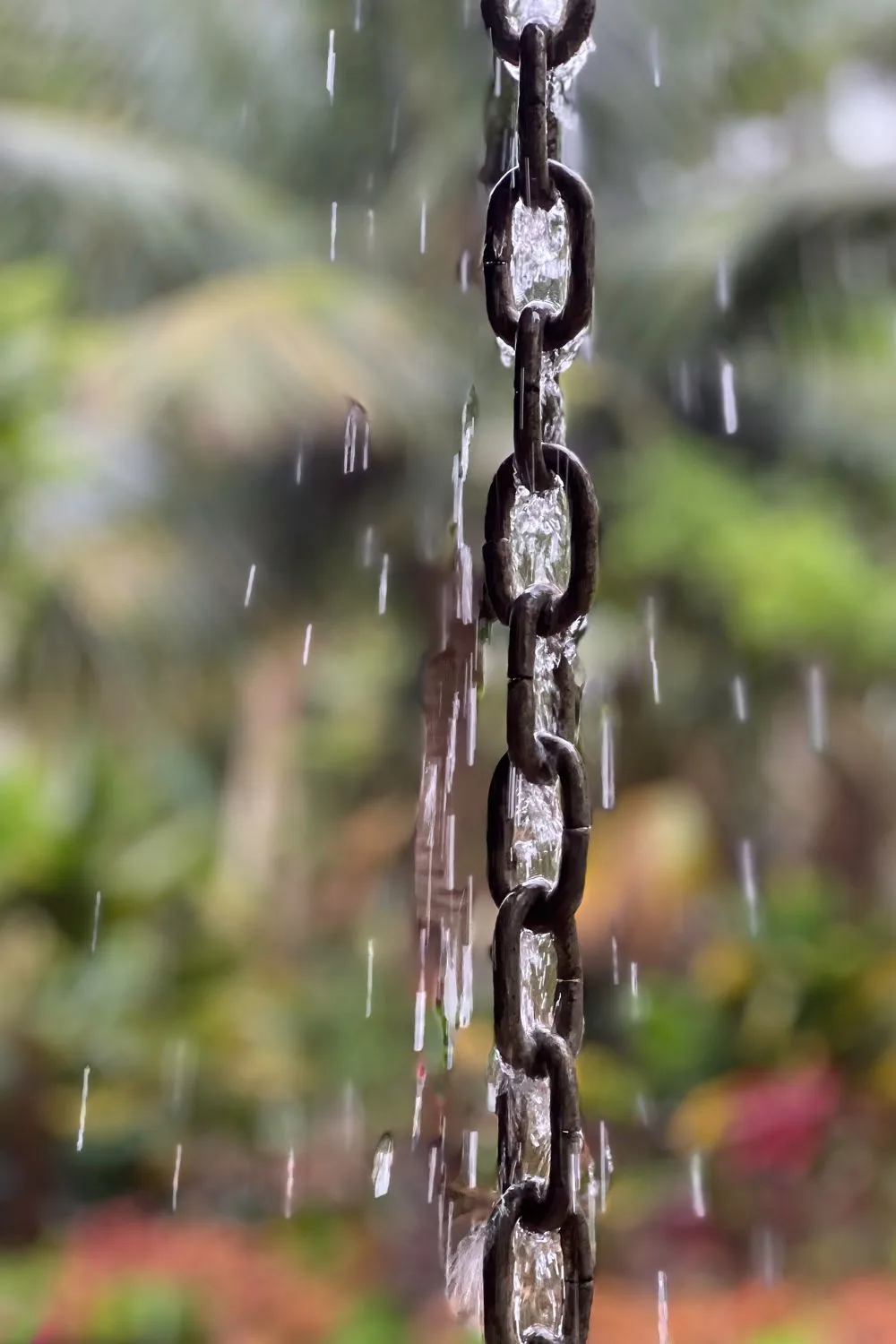 Weather Chain What is a rain chain and is it good for your garden?