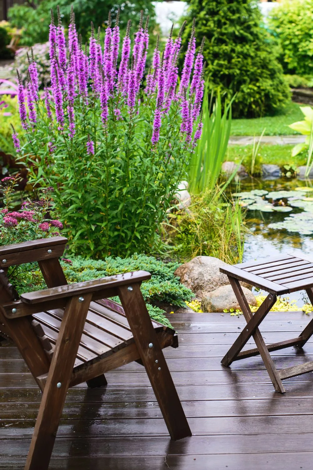 The 10 Best Water Plants To Add To Your Pond