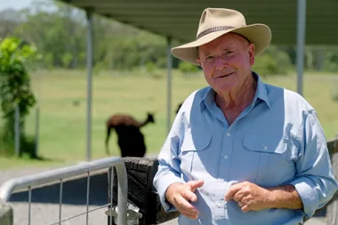 Dr Harry visits Iris Lodge alpacas