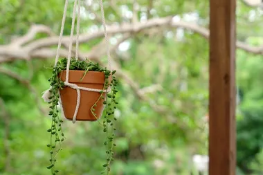 How to make an easy hanging planter