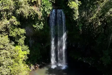 Joh and Charlie explore Cairns and the Cassowary Coast