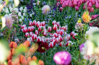 The Melbourne International Flower and Garden Show is back for 2025