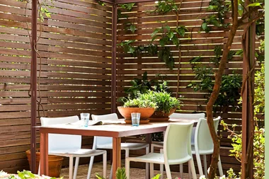 The best 6 ways to hide a neighbour’s ugly outside wall in your garden