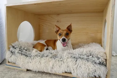 Adam makes a coffee table dog bed