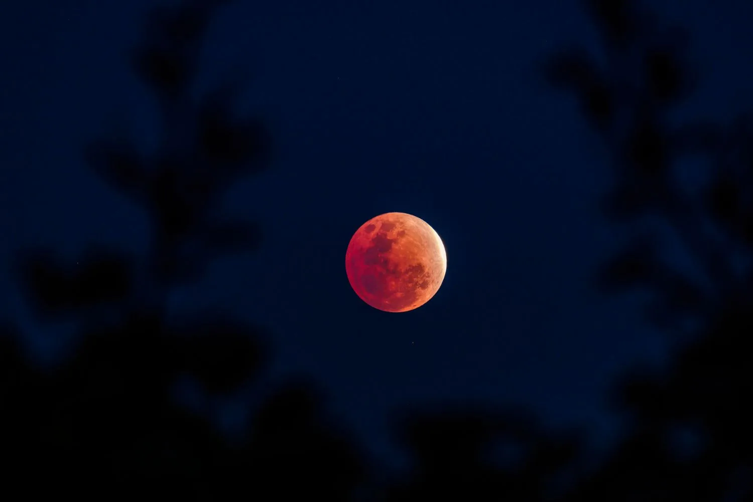 partial-lunar-eclipse