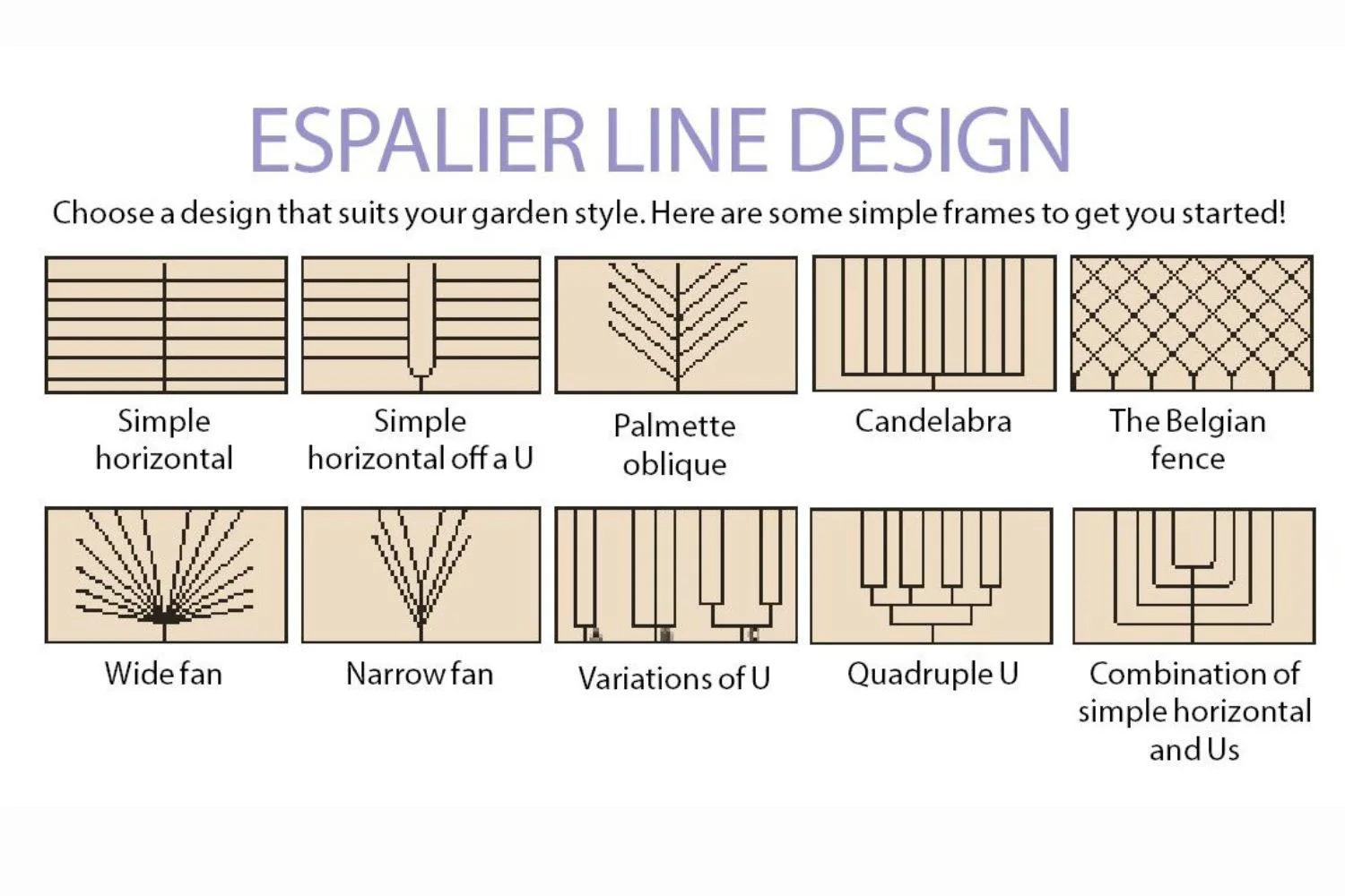 espalier-line-design