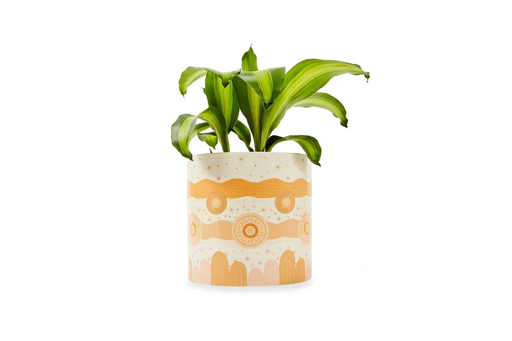 Kmart Kyralee Shields planter