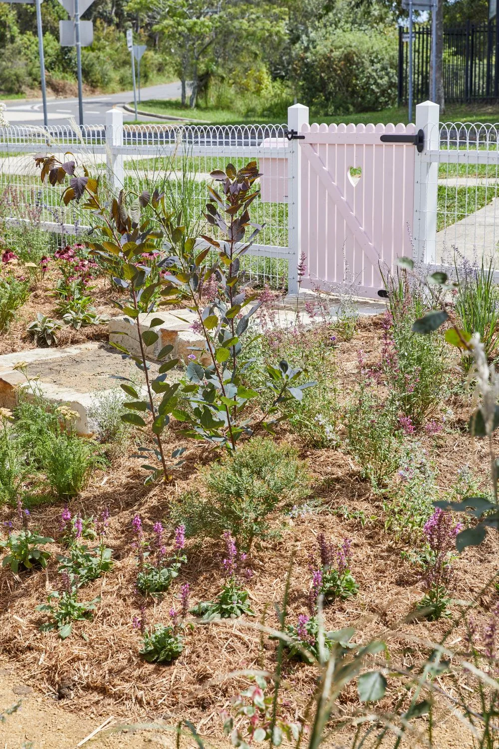 garden-bed-australian-cottage-garden