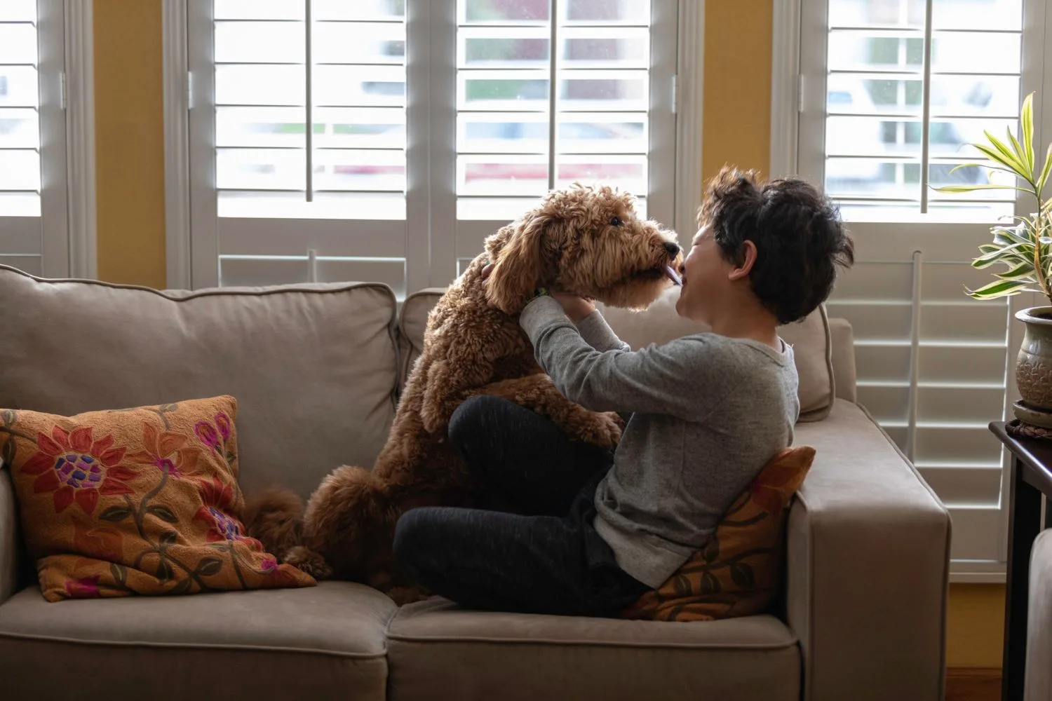pet-fostering-australia-dog-and-boy