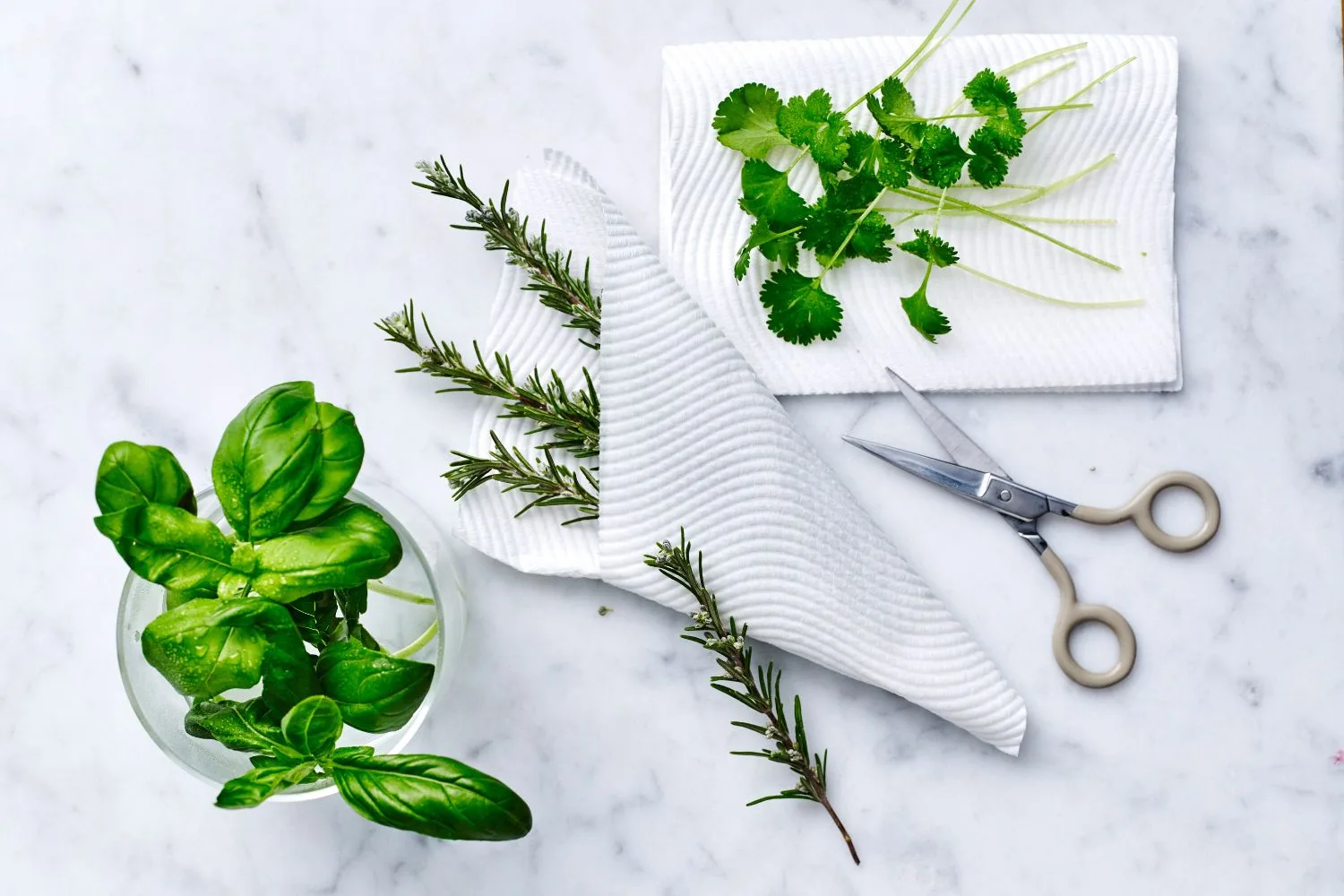 fresh herb storage