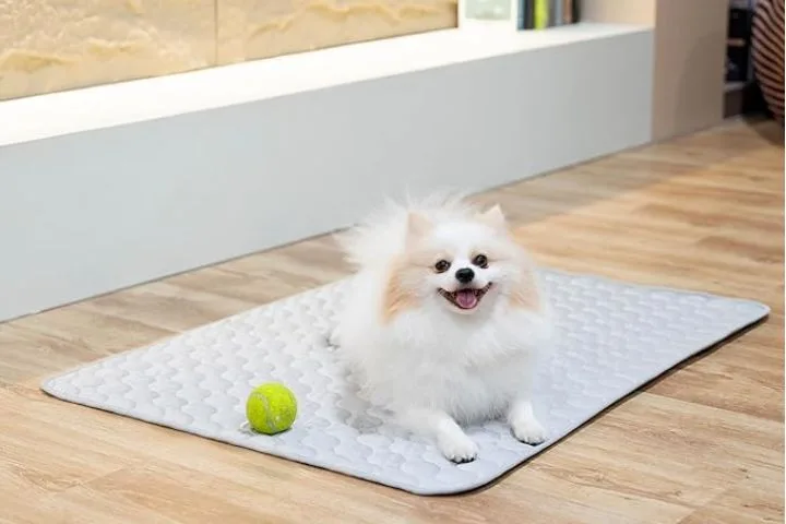 Petz Zzz dog cooling pad